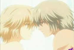 bl动漫大尺度,BL动漫大尺度世界揭秘